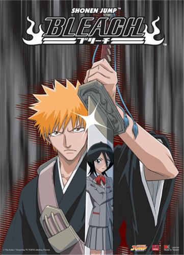 Bleach: Ichigo & Rukia Reflection Wall Scroll