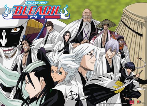 Bleach: Gotei 13 Captains Wall Scroll