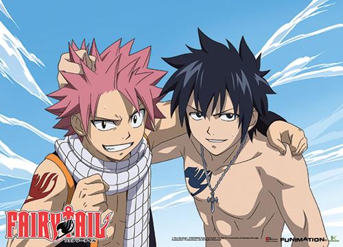 Fairy Tail: Natsu & Gray Bond Wall Scroll
