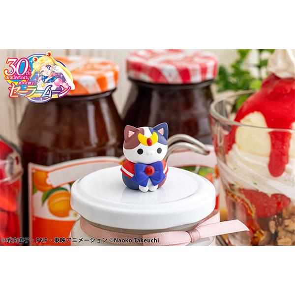 Sailor Moon: Sailor Mewn ~In the Name of the Moon, I Shall Punish You!~ 2024 Ver. Blind Box