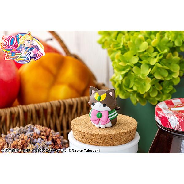 Sailor Moon: Sailor Mewn ~In the Name of the Moon, I Shall Punish You!~ 2024 Ver. Blind Box