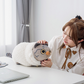 Team Timothy: Kuikui Sheep Plush Pillow