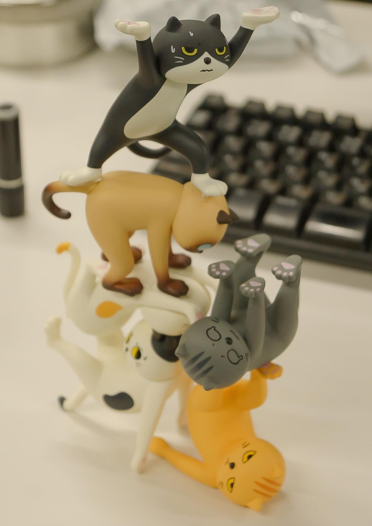 Ennoshita no Neko: Blind Box