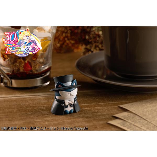 Sailor Moon: Sailor Mewn ~In the Name of the Moon, I Shall Punish You!~ 2024 Ver. Blind Box