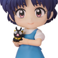 Ranma 1/2: 2751 Akane Tendo Nendoroid