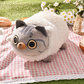 Team Timothy: Kuikui Sheep Plush Pillow