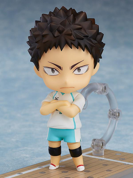 Haikyu!!: 699 Iwaizumi Hajime Nendoroid
