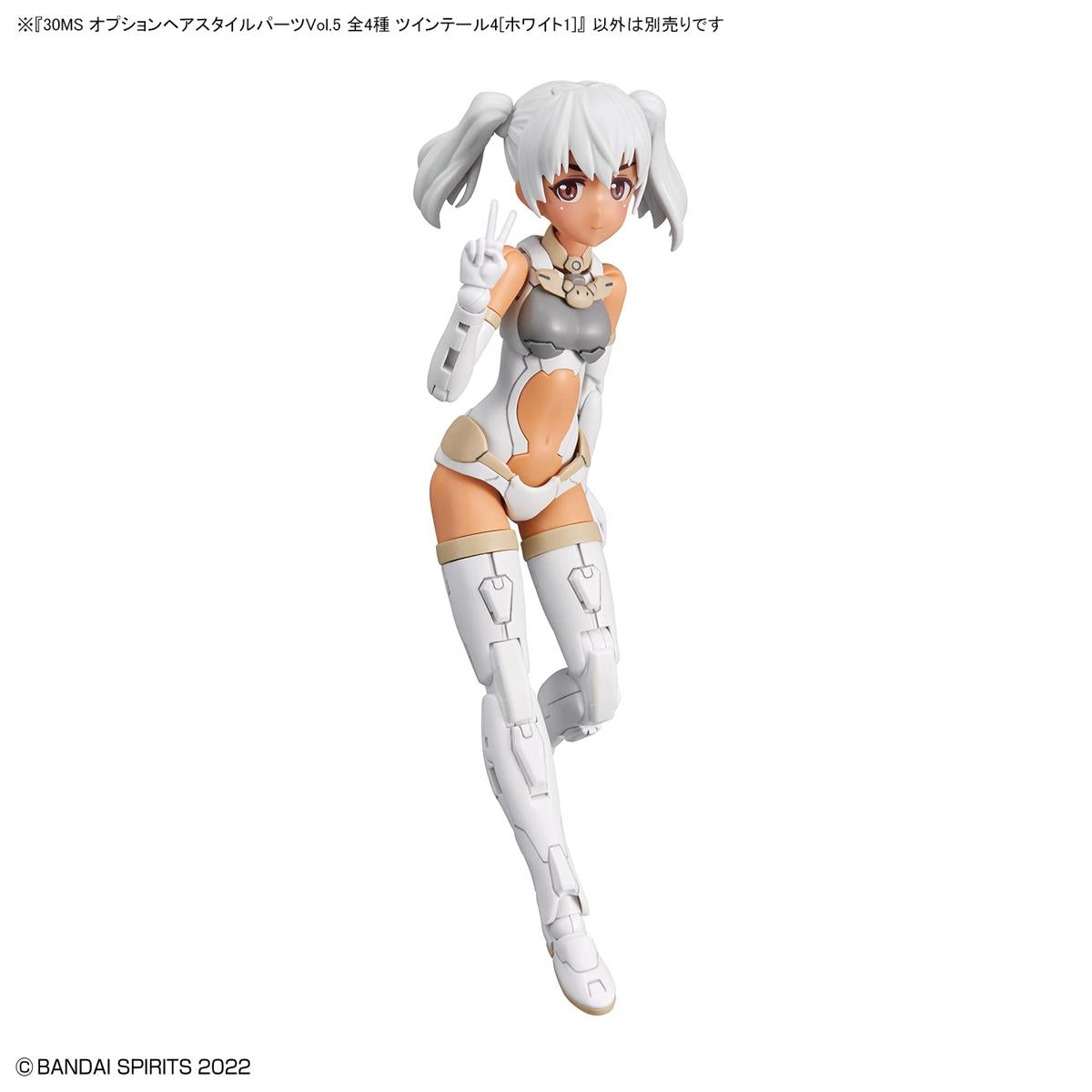 30 Minutes Sisters: Option Hair Style Parts Vol. 5 Model Option Packs