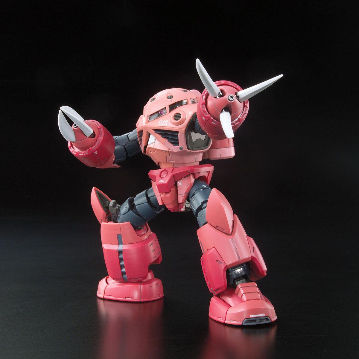 Gundam: Char's Z'Gok RG Model