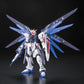 Gundam: Freedom Gundam RG Model