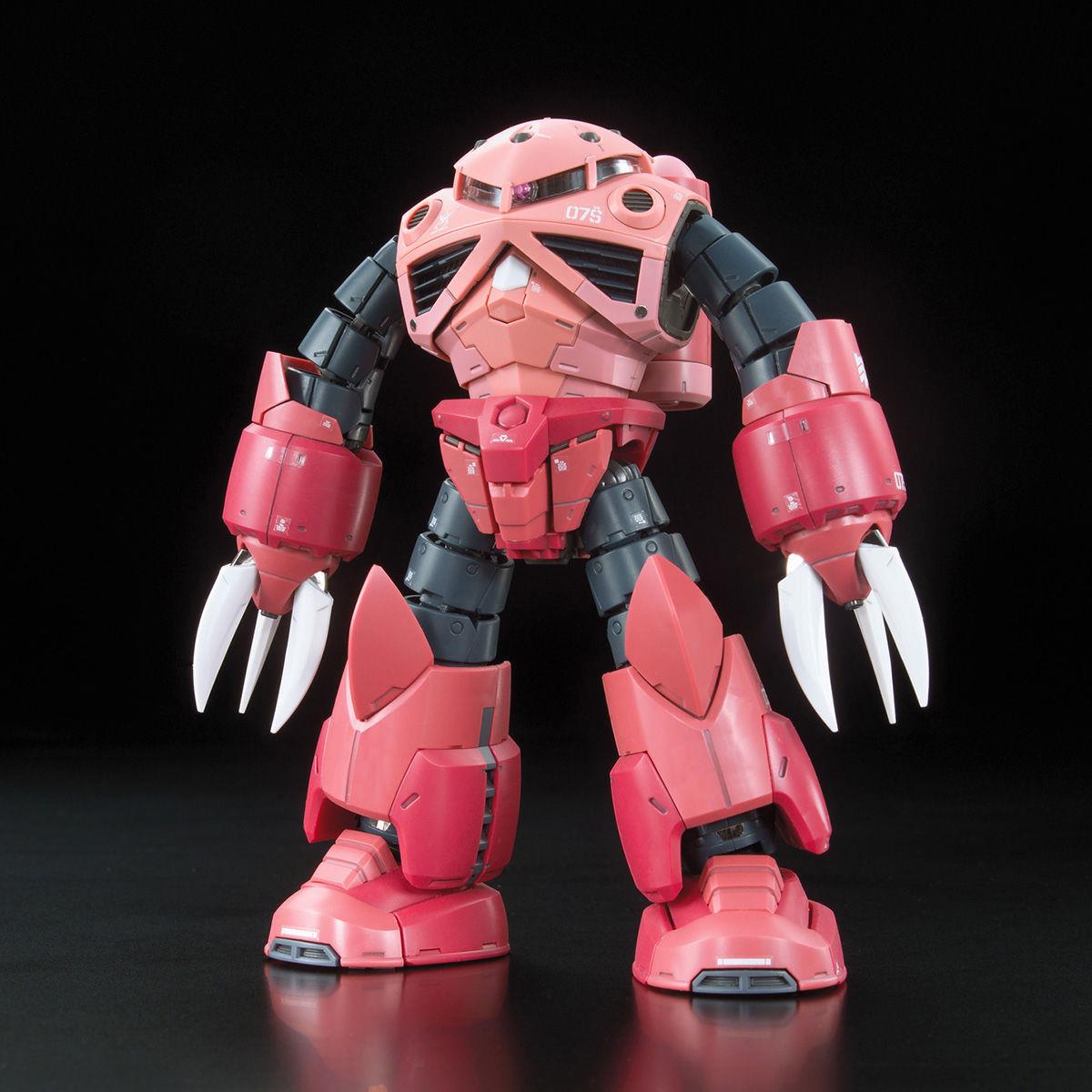 Gundam: Char's Z'Gok RG Model