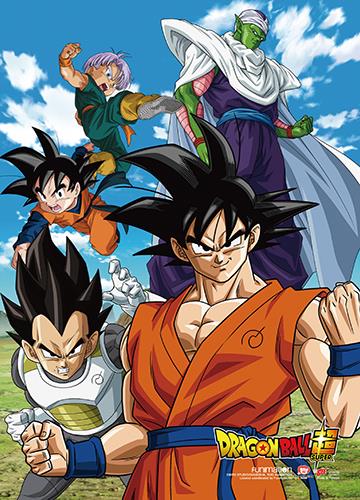 Dragon Ball Super: Fighters Group Wall Scroll