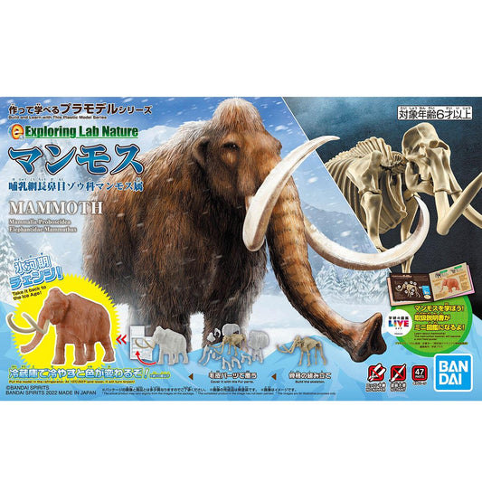 Exploring Lab Nature: Mammoth Model