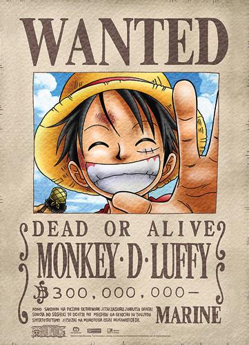 One Piece: Luffy Wanted Fabric Poster