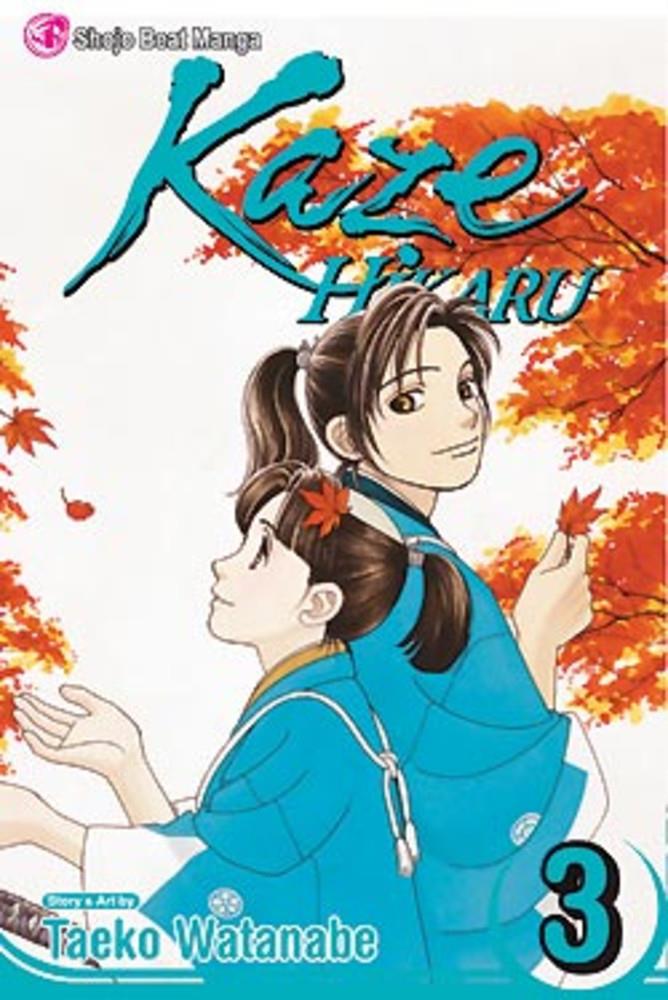 Kaze Hikaru: Volume 3 (Manga)
