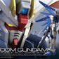 Gundam: Freedom Gundam RG Model