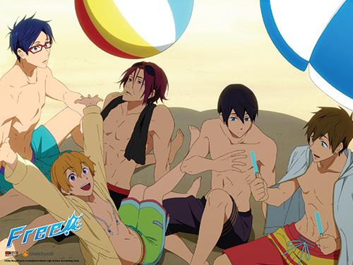 Free!: Group Beach Wall Scroll