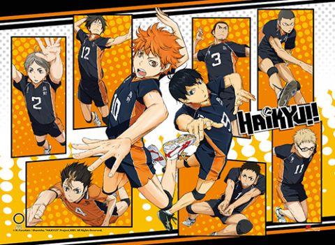 Haikyu!!: Group Collage High-End Wall Scroll