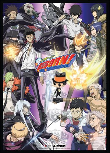 Reborn: Group Wall Scroll -Displayed-