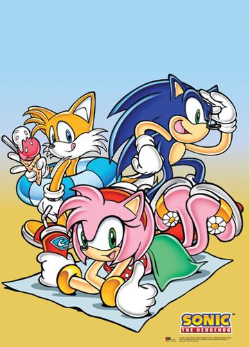 Sonic the Hedgehog: Beach Time Wall Scroll