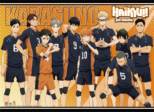 Haikyu!!: S3 Karasuno Group Wall Scroll